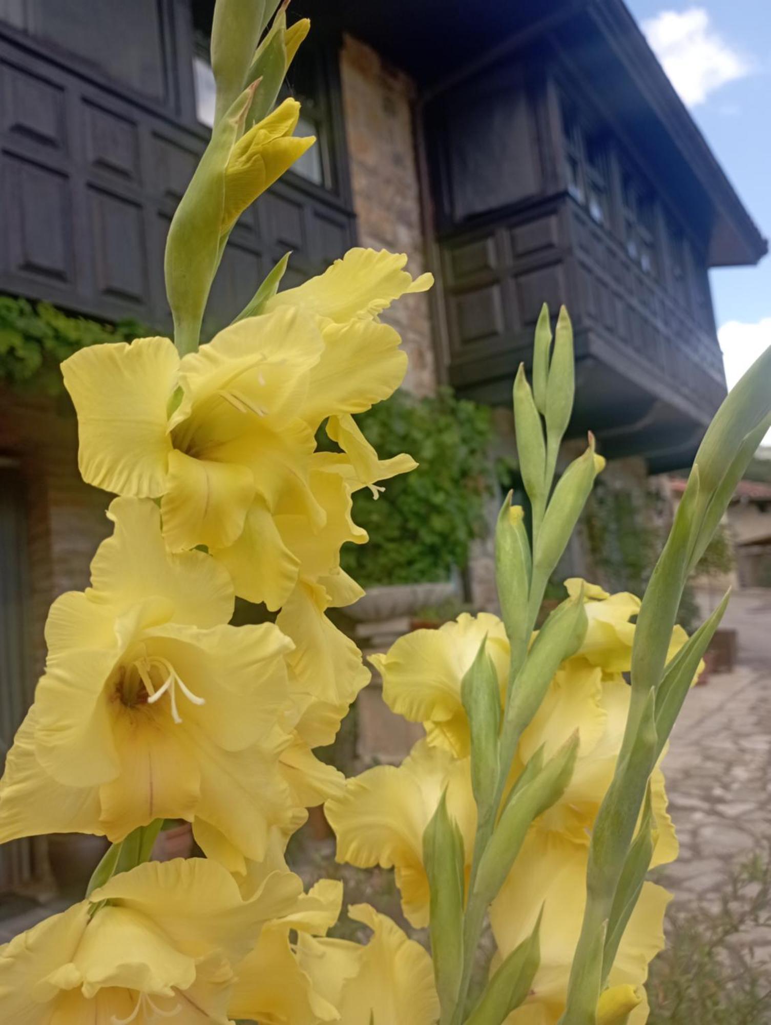 Casa De Aldea El Torrexon Vendégház Villamorey Kültér fotó